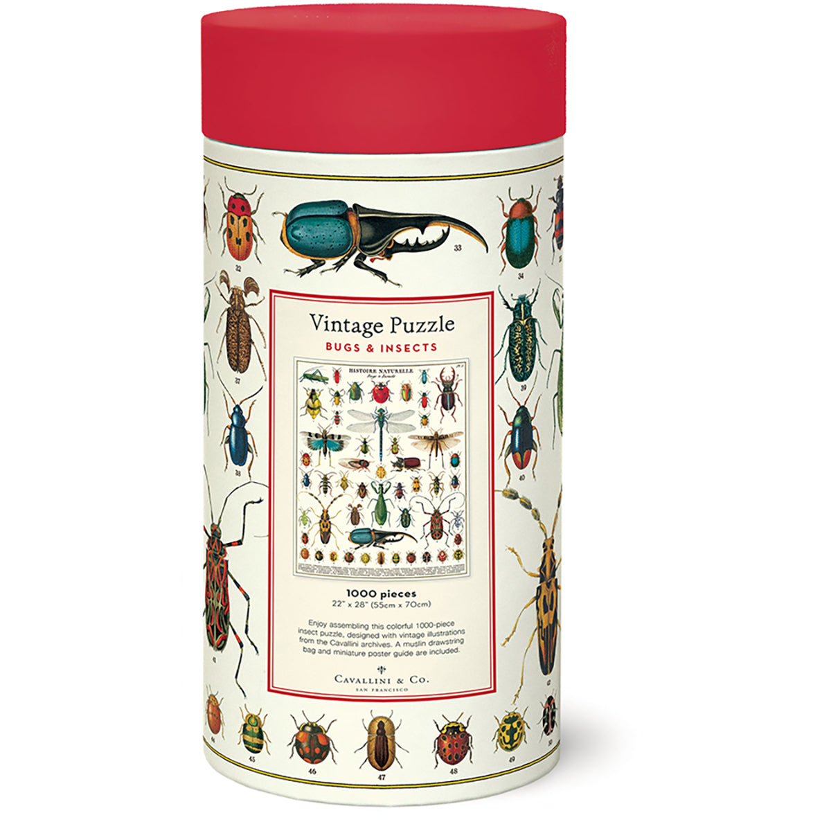 Bugs and Insects 1000 Pc Puzzle