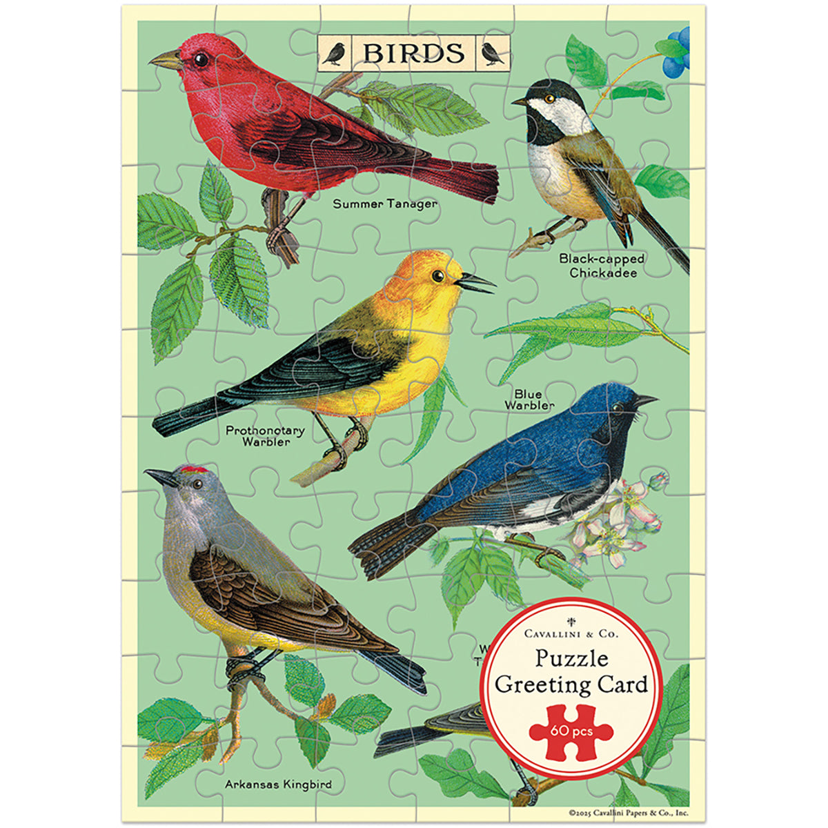 Bird Watching Puzzle Greeting Card