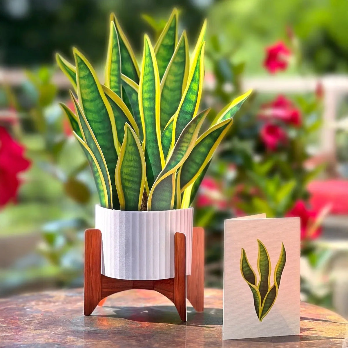 Snake Plant Pop-up Card
