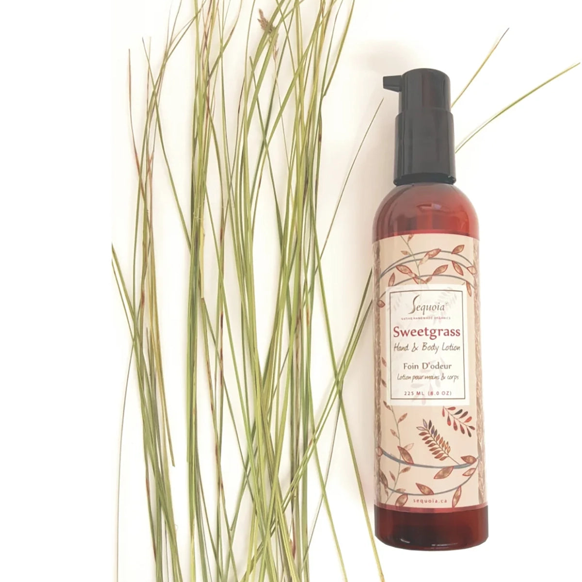 Sequoia Sweetgrass Lotion